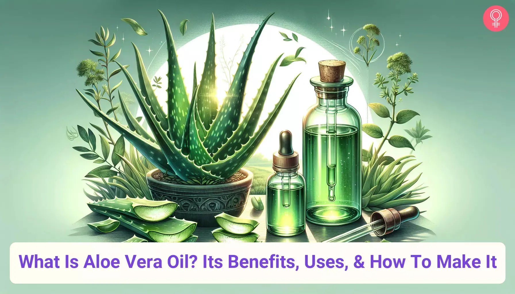 Aloe Vera OIL