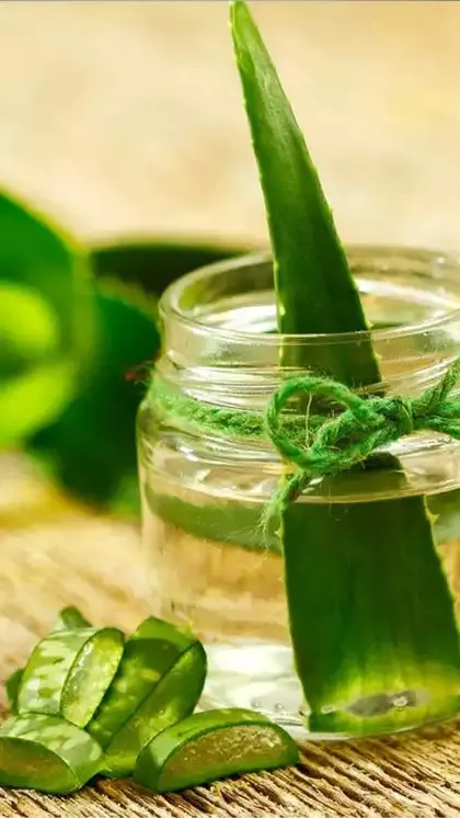 Aloe Vera OIL