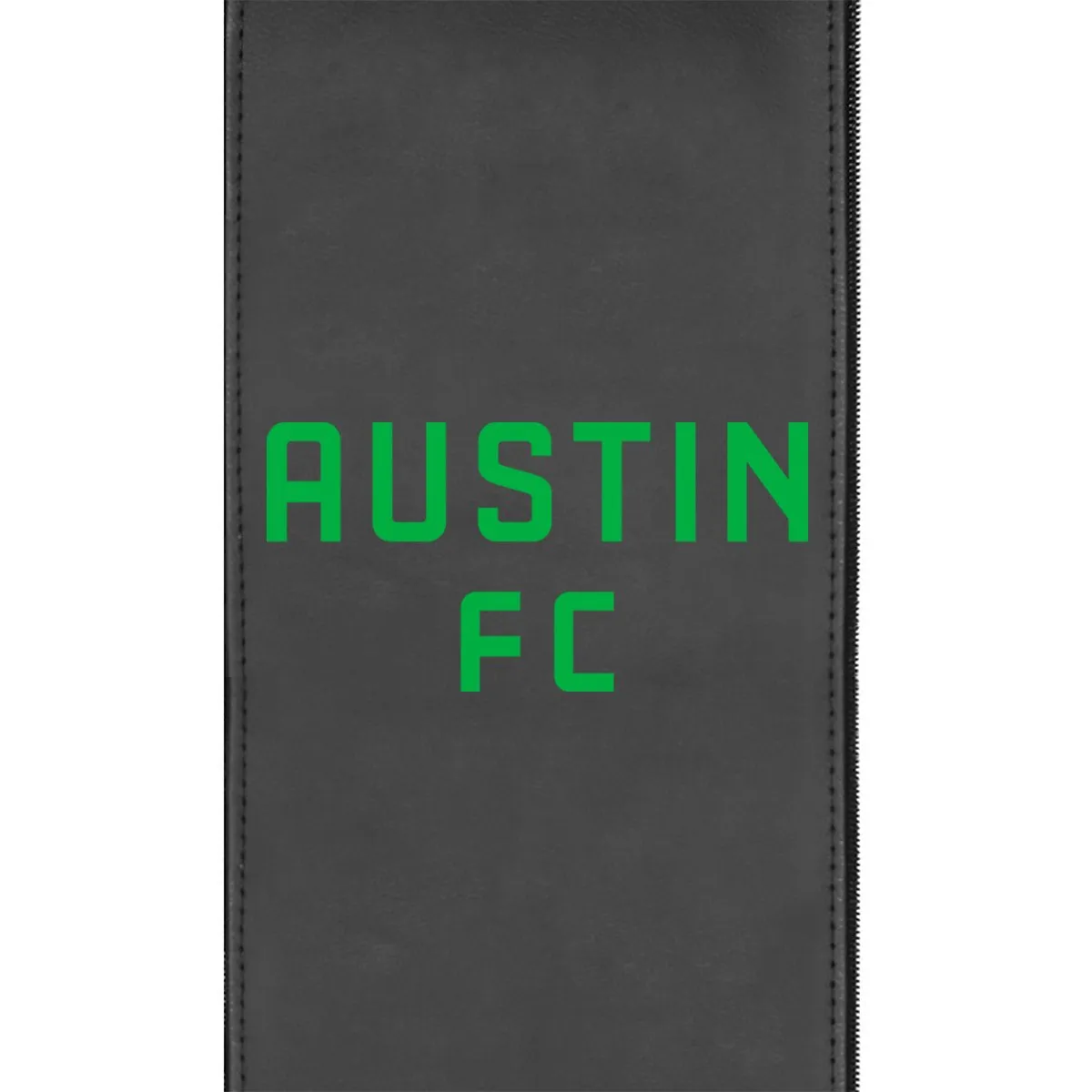 Austin FC Wordmark Logo Panel Standard Size