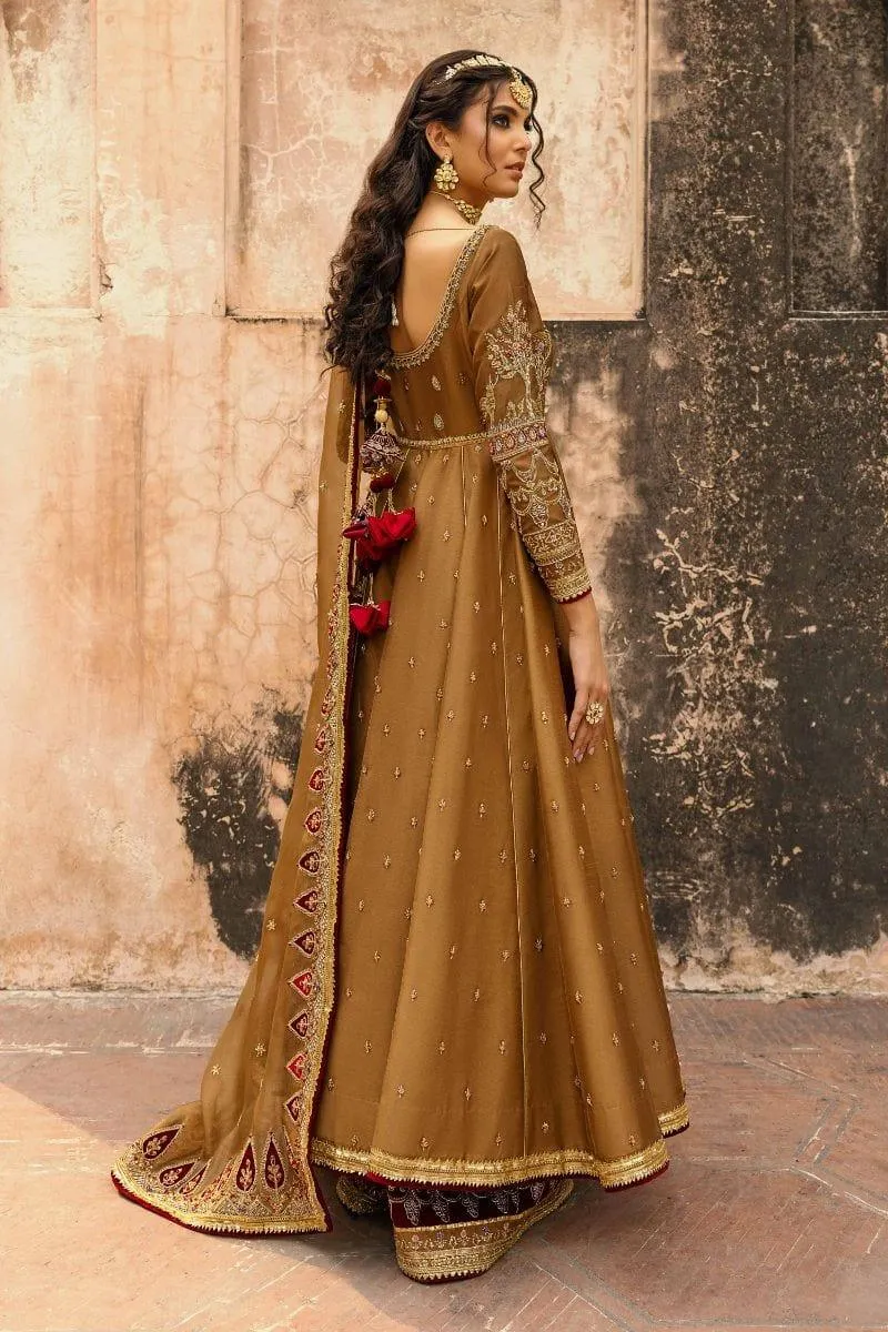 Basit Sipra - MUMTAZ D01 - Silk & Organza - brown - 3 Piece