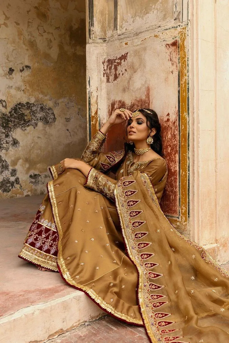 Basit Sipra - MUMTAZ D01 - Silk & Organza - brown - 3 Piece